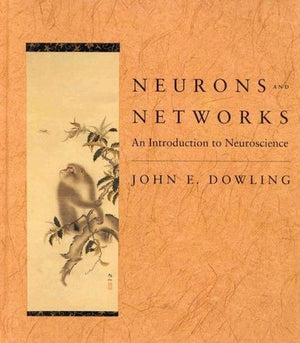 Neurons and Networks