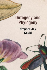 Ontogeny and Phylogeny 
