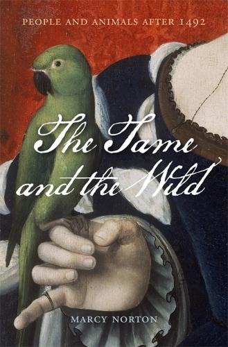 The The Tame and the Wild