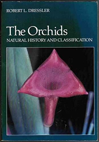 The Orchids