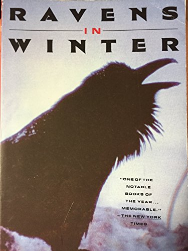 Ravens in Winter