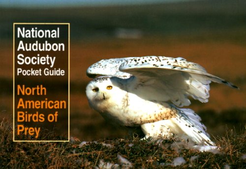 North American Birds of Prey