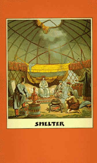 Shelter