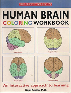 Human Brain Colouring Workbook