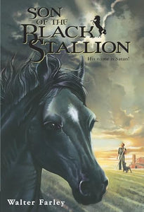 Son of the Black Stallion 