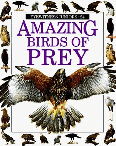 Amazing Birds of Prey