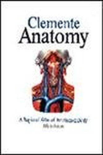 Anatomy