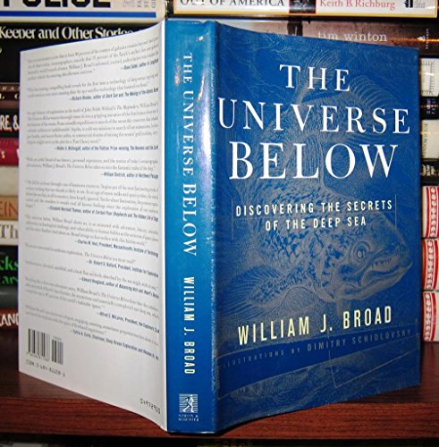 The Universe below