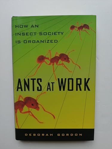 Ants at Work: How an Insect Society is Organized