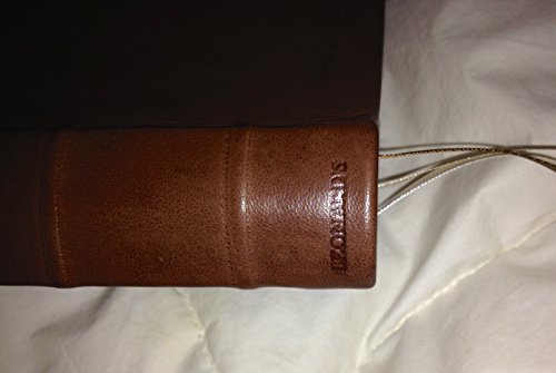 The Wesley Study Bible