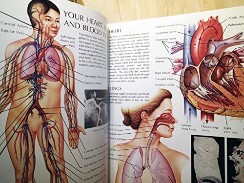 Mayo Clinic Family Health Book