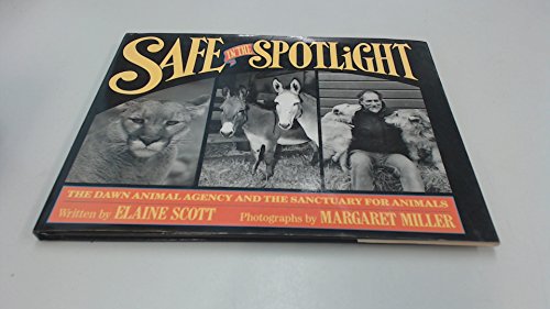 Safe in the Spotlight