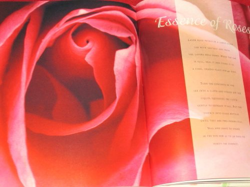 "Victoria" at Home with Roses