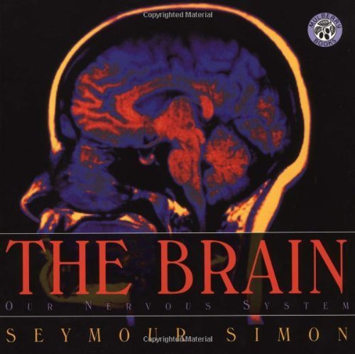 The Brain
