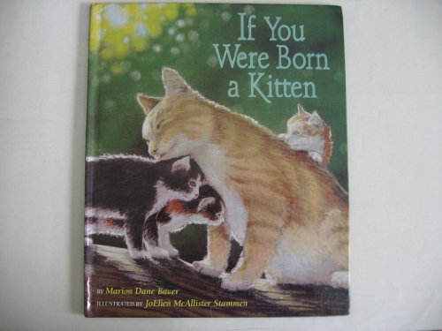 If You Were Born a Kitten