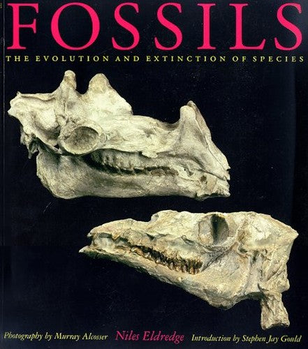Fossils