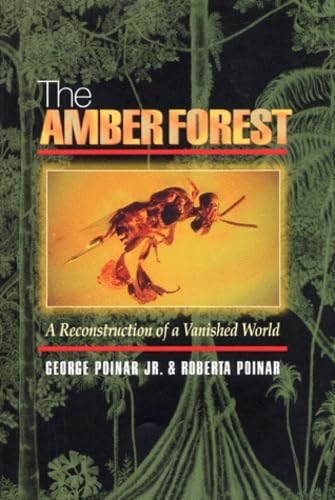 The Amber Forest