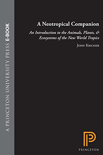 A Neotropical Companion