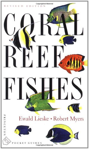 Coral Reef Fishes