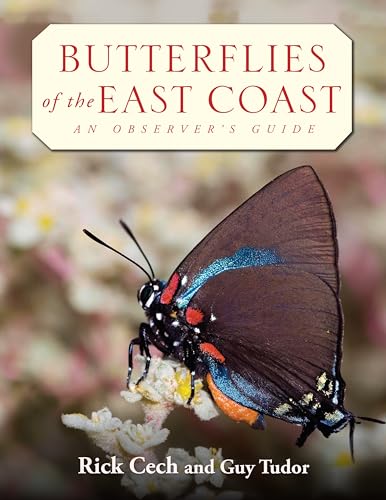 Butterflies of the East Coast