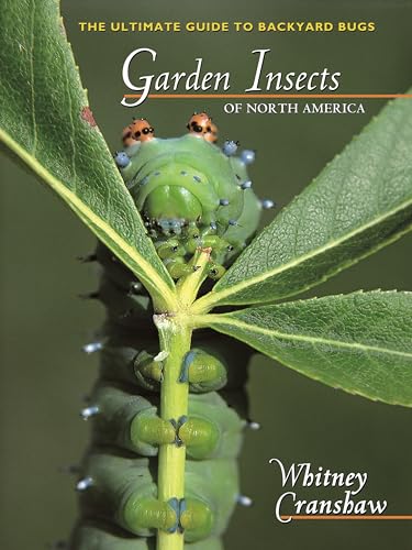 Garden Insects of North America
