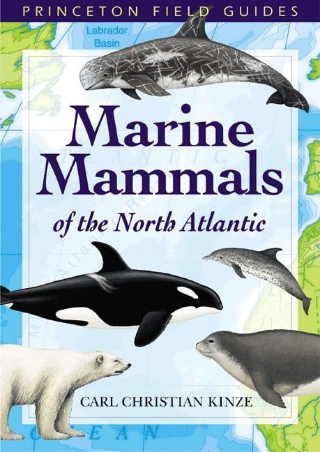 Marine Mammals of the North Atlantic