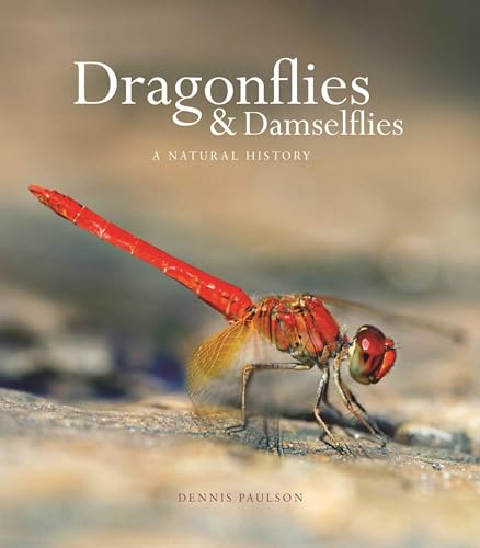 Dragonflies and Damselflies