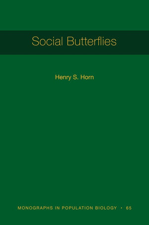 Social Butterflies