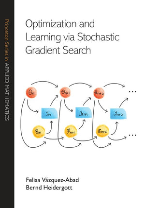 Optimization and Learning via Stochastic Gradient Search