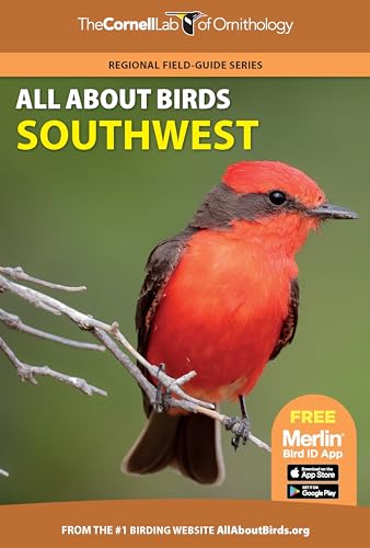 All About Birds Southwest