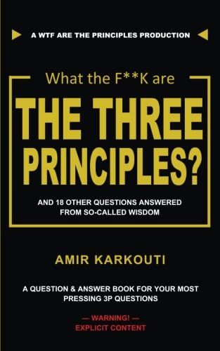 What The FK Are the Three Principles And  Other Questions Answered From Socalled Wisdom