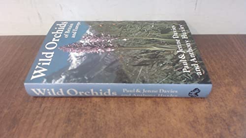 Wild Orchids of Britain and Europe