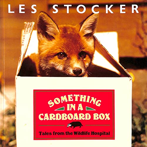 Something in a Cardboard Box