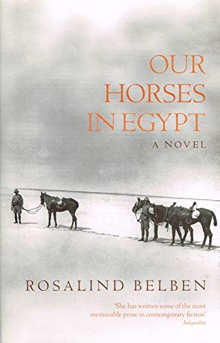 Our Horses in Egypt