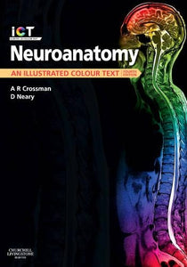Neuroanatomy 