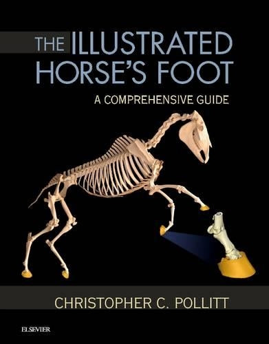 The Illustrated Horse's Foot