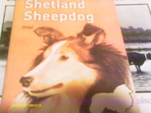 Shetland Sheepdog