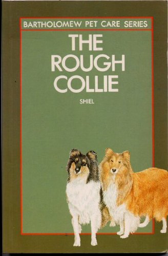 Rough Collie