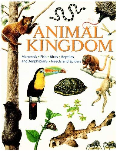 Animal Kingdom