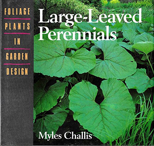 Large-leaved Perennials