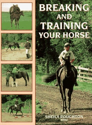 Breaking and Training Your Horse