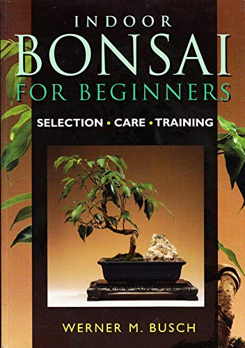 Indoor Bonsai for Beginners