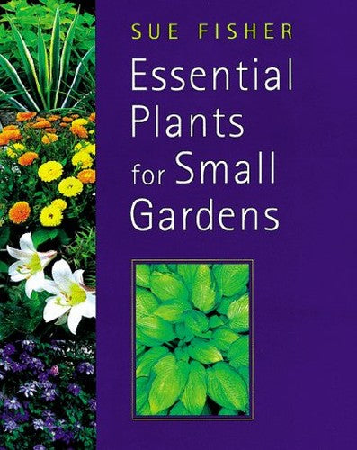 Essential Plants for Small Gardens