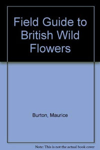 Field Guide to British Wild Flowers 