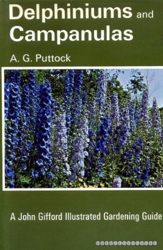 Delphiniums and Campanulas