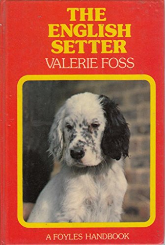 The English Setter