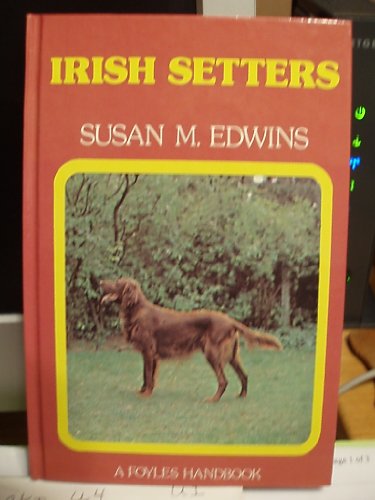 Irish Setters