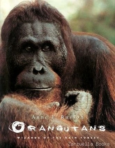 Orangutans