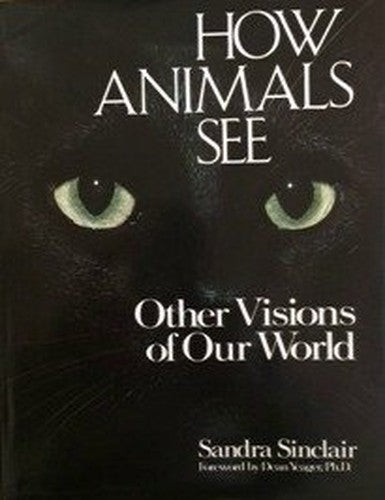 How Animals See