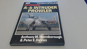 Grumman A-6 Intruder Prowler 